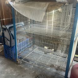 animal cage