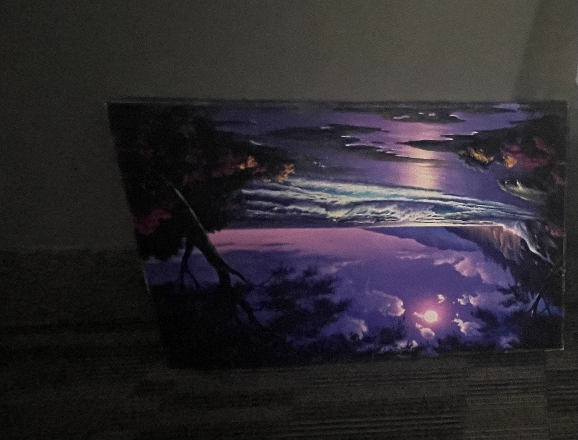 Beautiful Purple Canvas