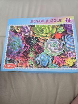 1,000 Piece Puzzles