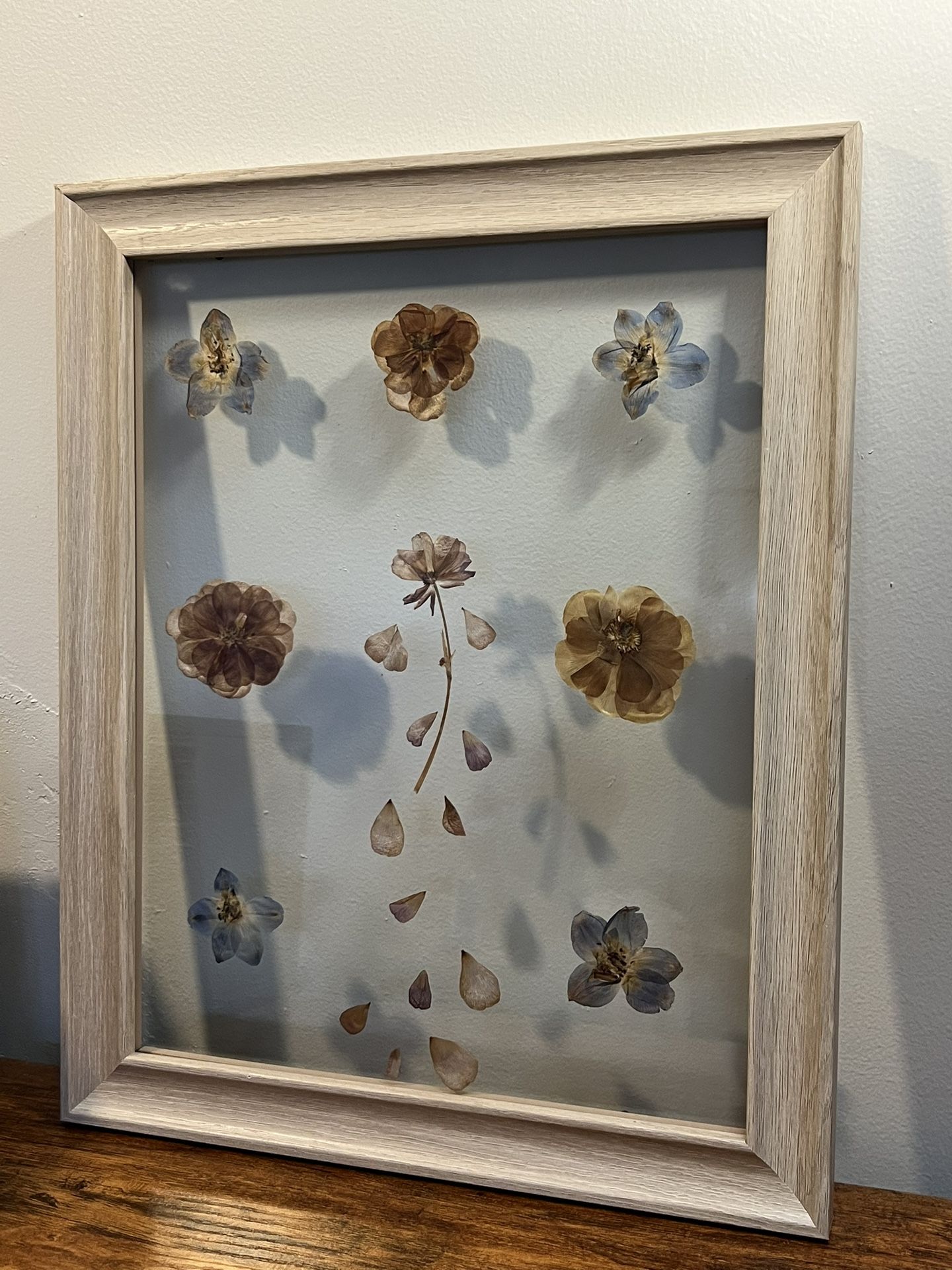 Framed Pressed Flowers