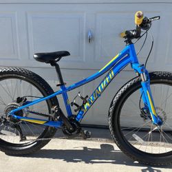 Specialized 24” Riprock Bike