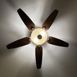 Ceiling Fan With Lamp/Light $15