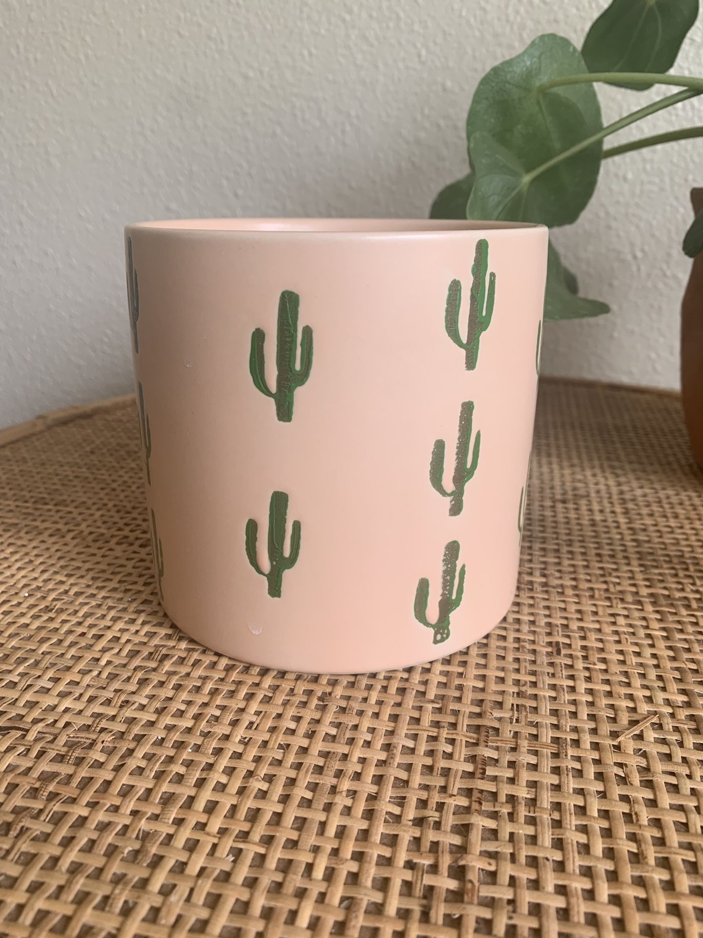 ~Cactus Plant Holder~