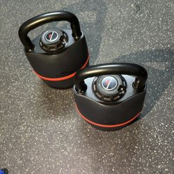 Bowflex Ajustable Kettlebell Bells 