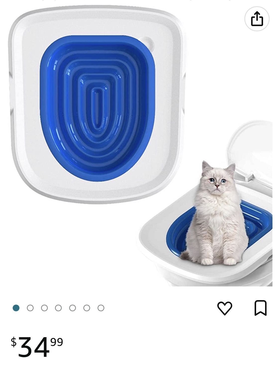 Cat Potty Training