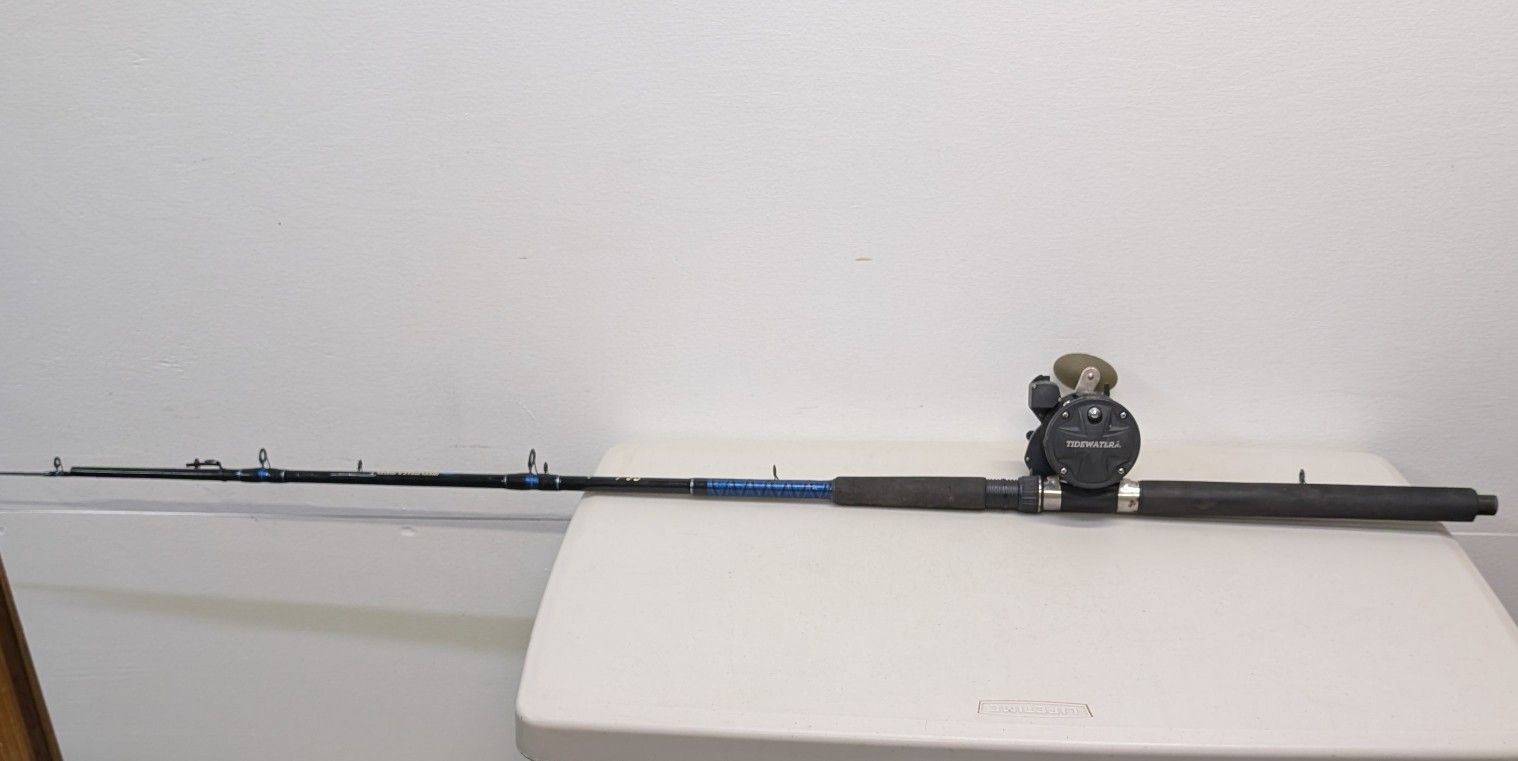 Fishing Pole And Reel