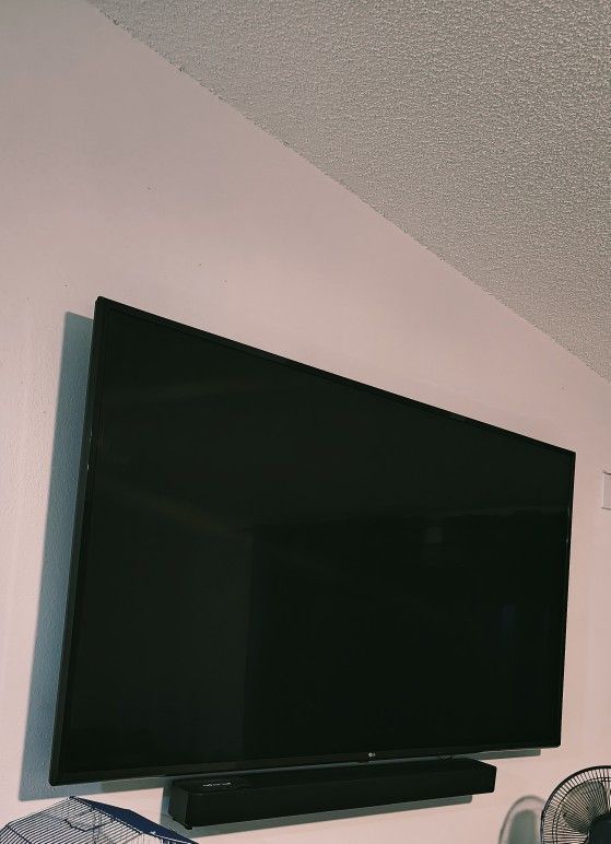 65 Inch LG TV