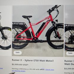 E-Bike RunnerX Explorer (750watt Motor)