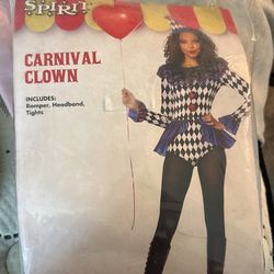 Woman’s Clown Costume