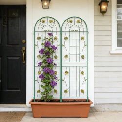 2 Pack Metal Garden Trellis 71" x 19.7" Rustproof Trellis for Climbing Plants Outdoor Flower Support Green