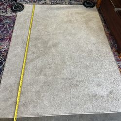 Beige Carpet 