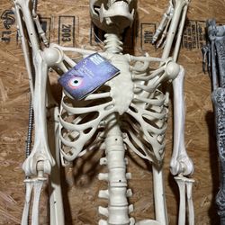 Halloween Skeleton