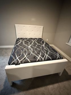 Queen Bed Frame White With Mattress Available And Different Colors 
