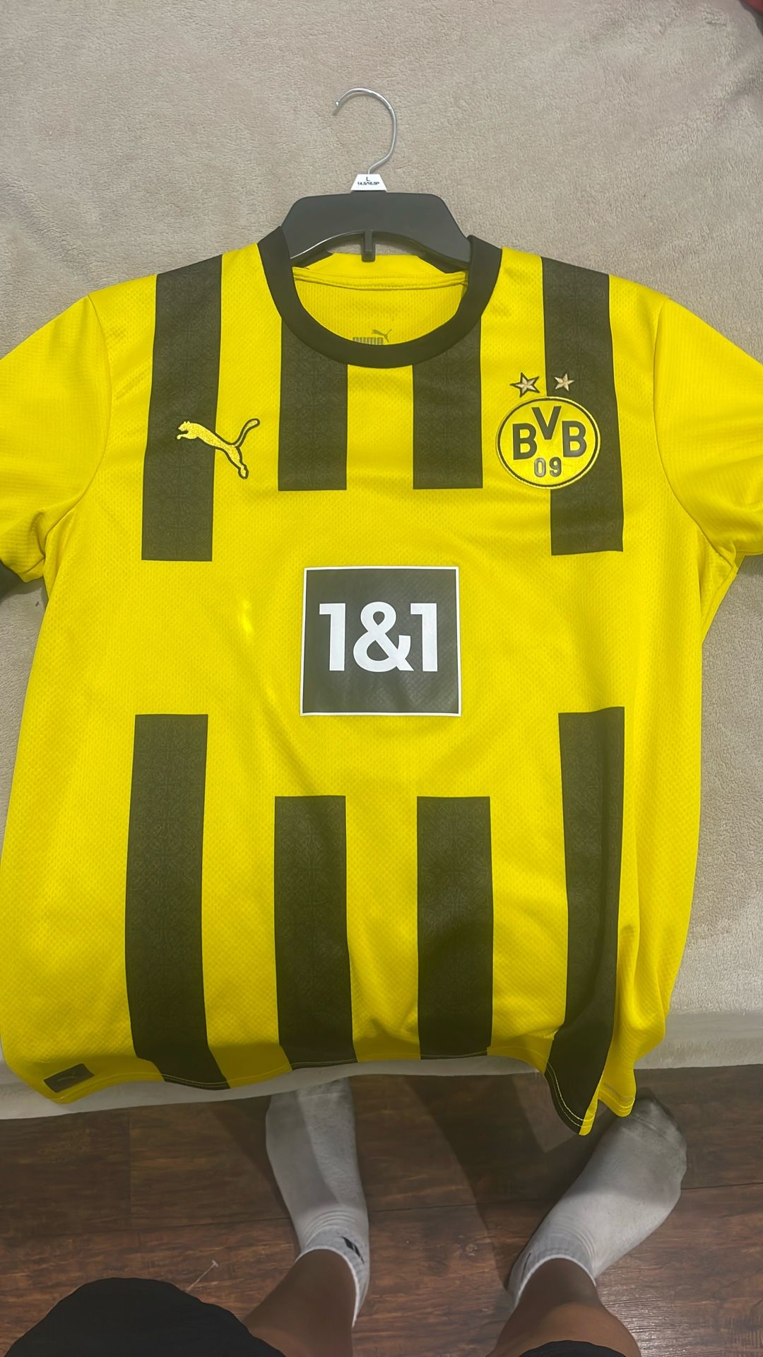 BVB Kit