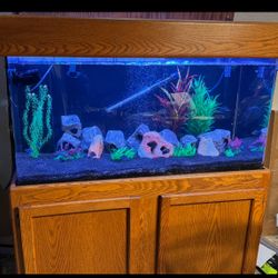 100 Gallon Acrylic Aquarium 