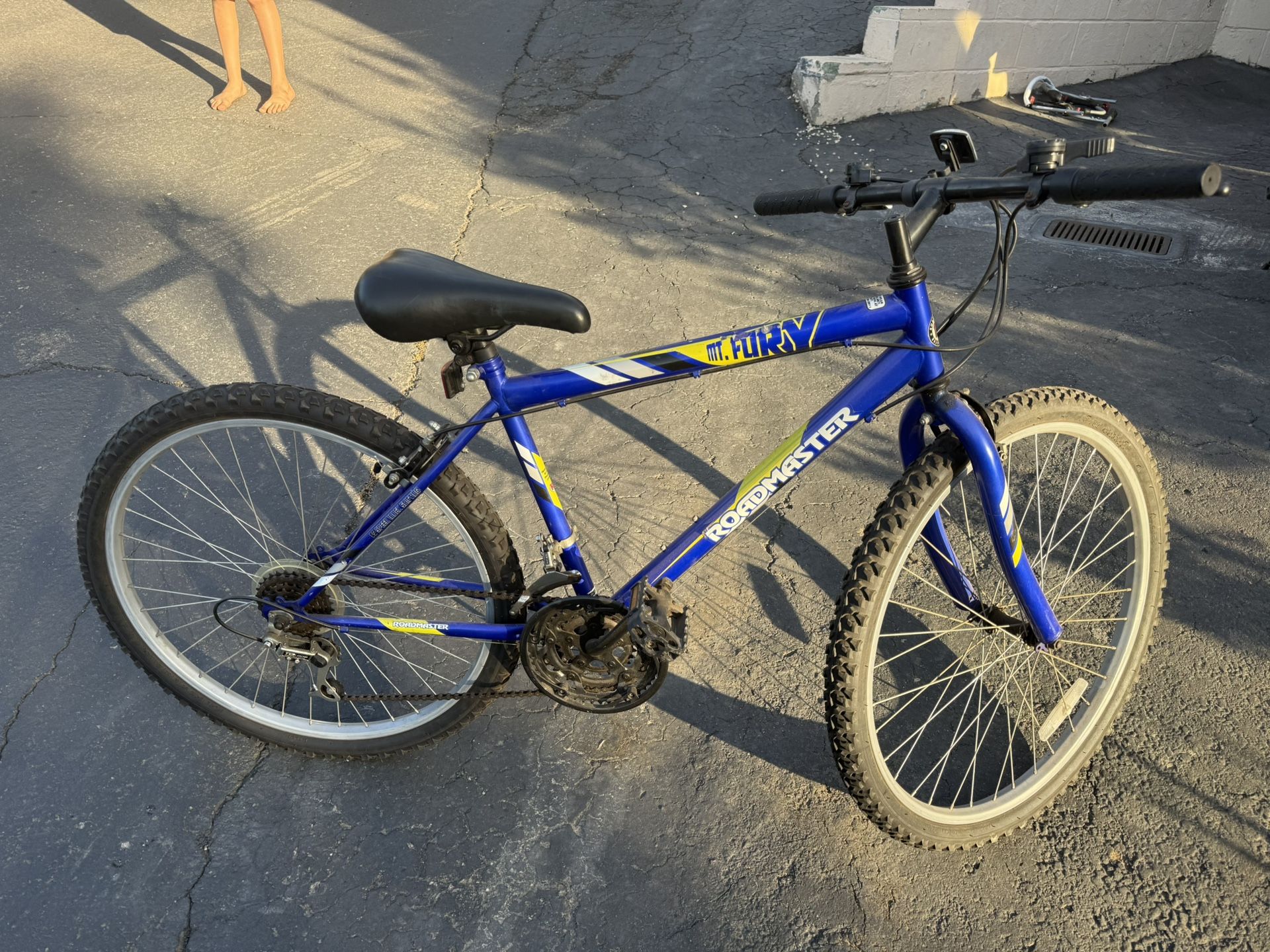 Mountain Bike Roadmaster