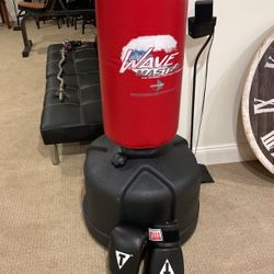 Punching Bag With Gloves 