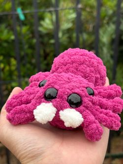 Jumping Spider 🕷️ handmade 🧶 crochet 🧶 plushie
