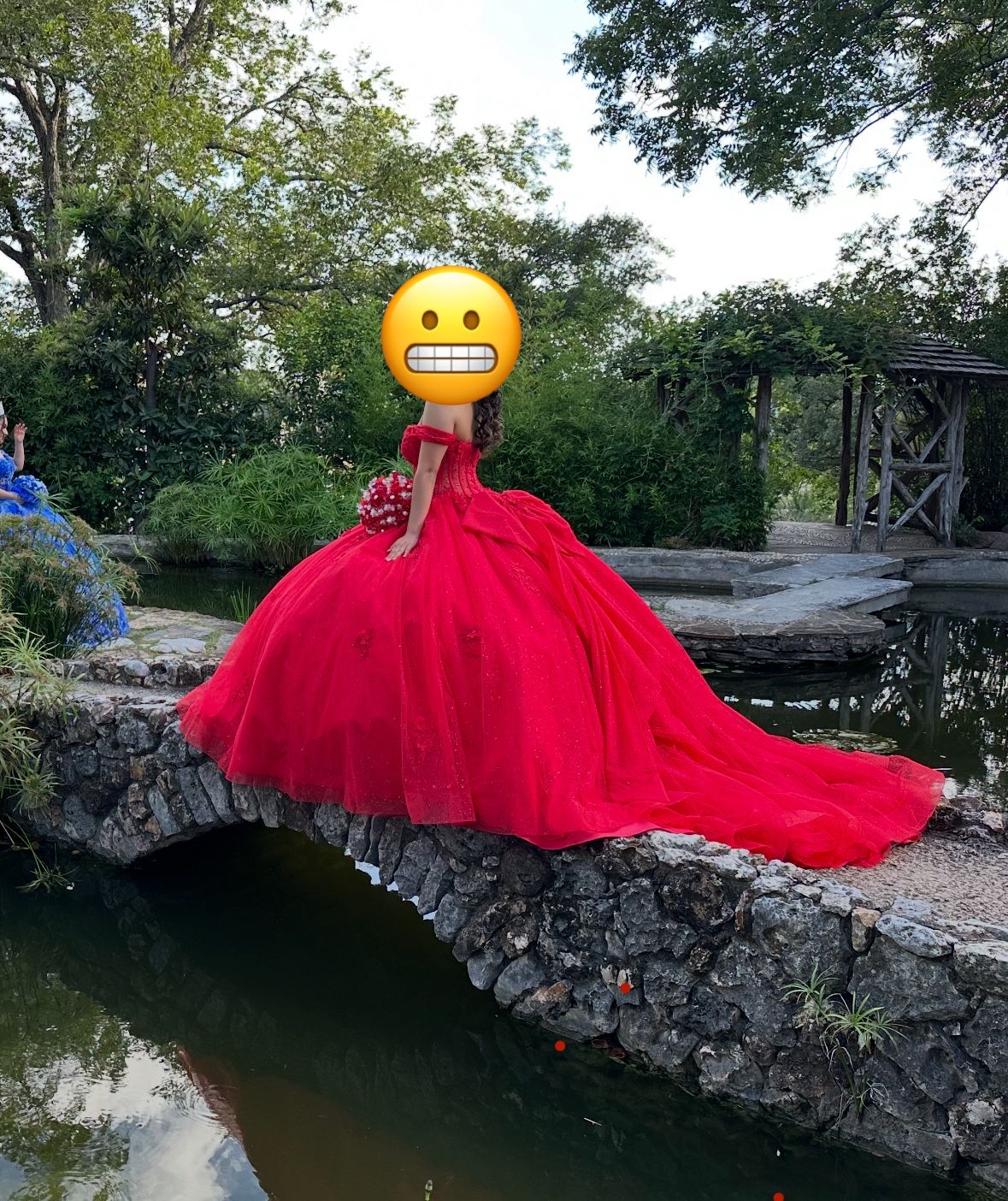 Quinsenera Dress