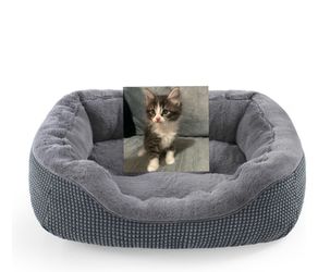 Cat Bed