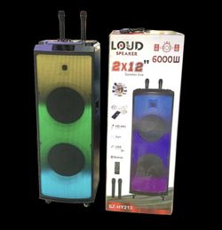 Dual 12”, LED Portable Bluetooth Wireless Speakers