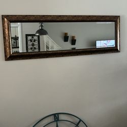 Door or Wall Mirror Like New!
