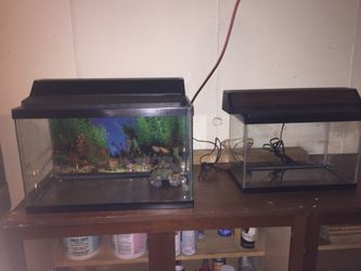 Fish tanks