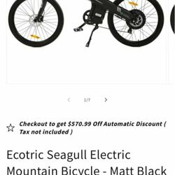 Ecotric Electric Bike