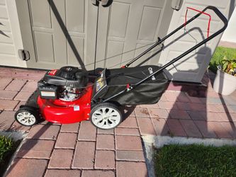 Law mower