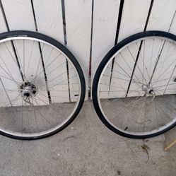 ARAYA 700C RIMS & SERFAS TIRES VIDA 700 X38