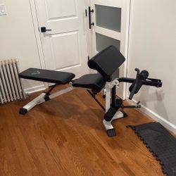 Gym Bench 