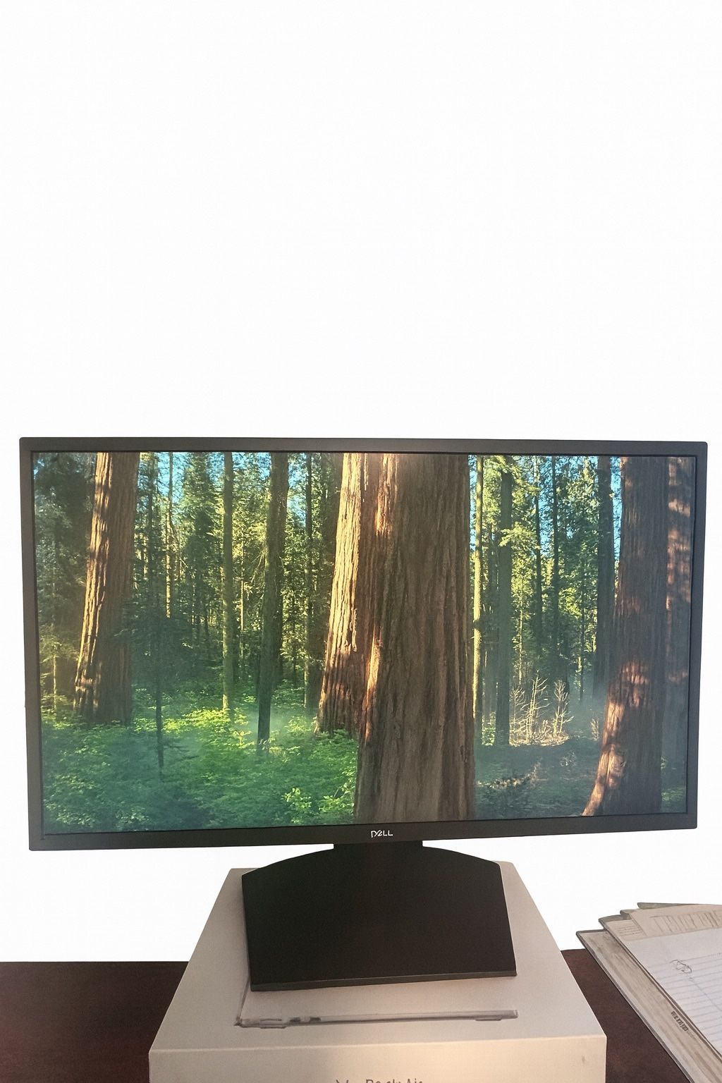 27” Dell Monitor