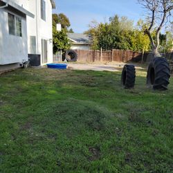 Good Afternoon He Cut Yards And Also Threw Garbage 