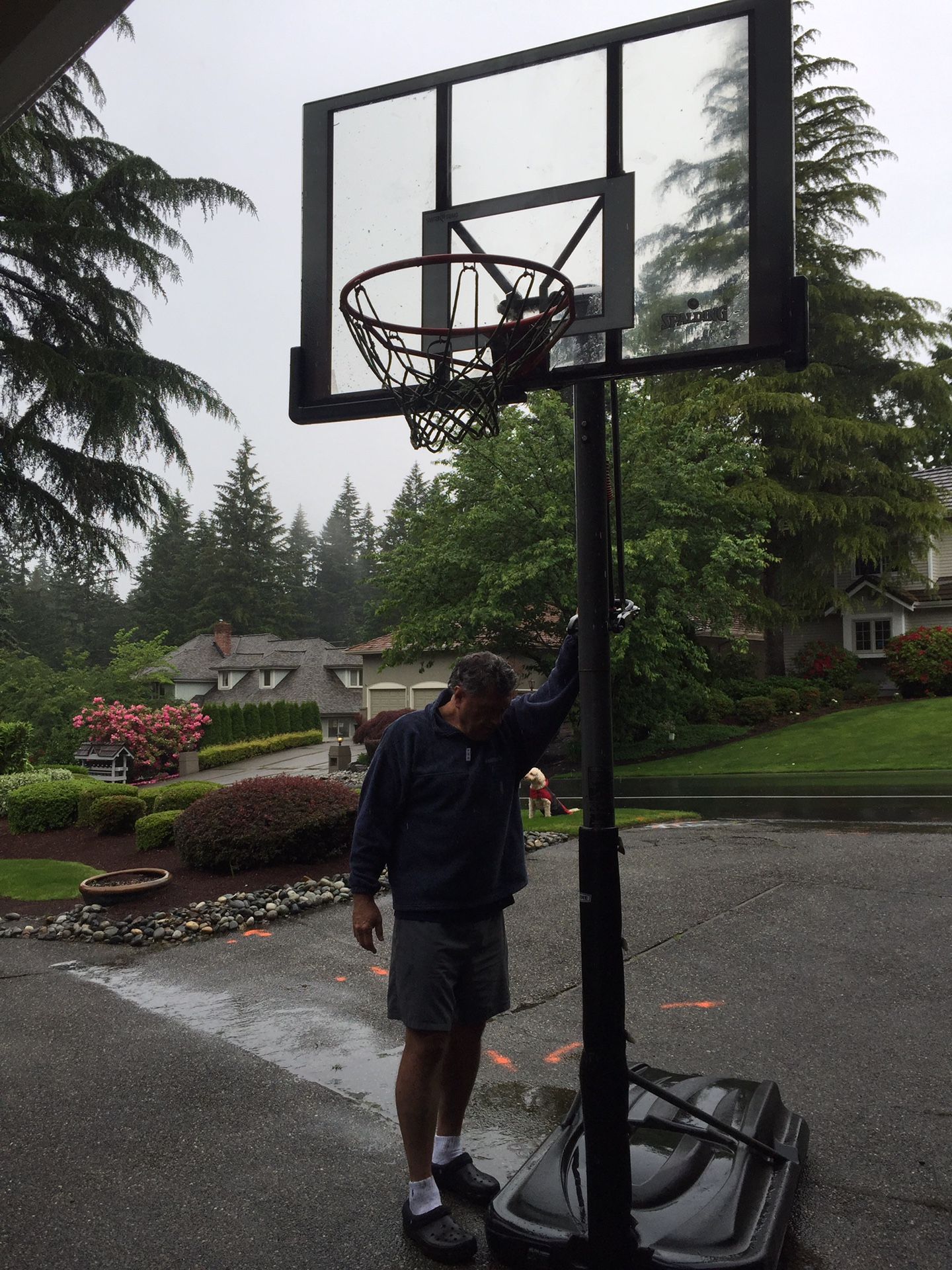 Free Spalding basketball goal with adjustable height.