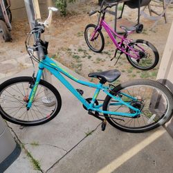 Liv Bike
