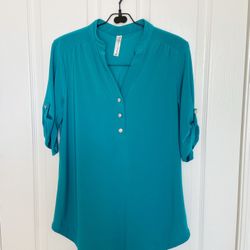NWOT- V neck blouse