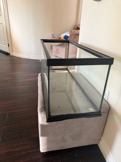 Large Glass Aquarium Fish Tank