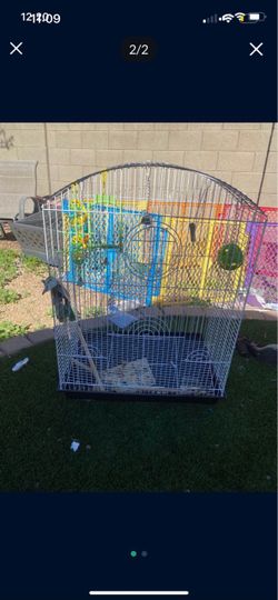 Bird cage