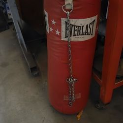 Punching Bag