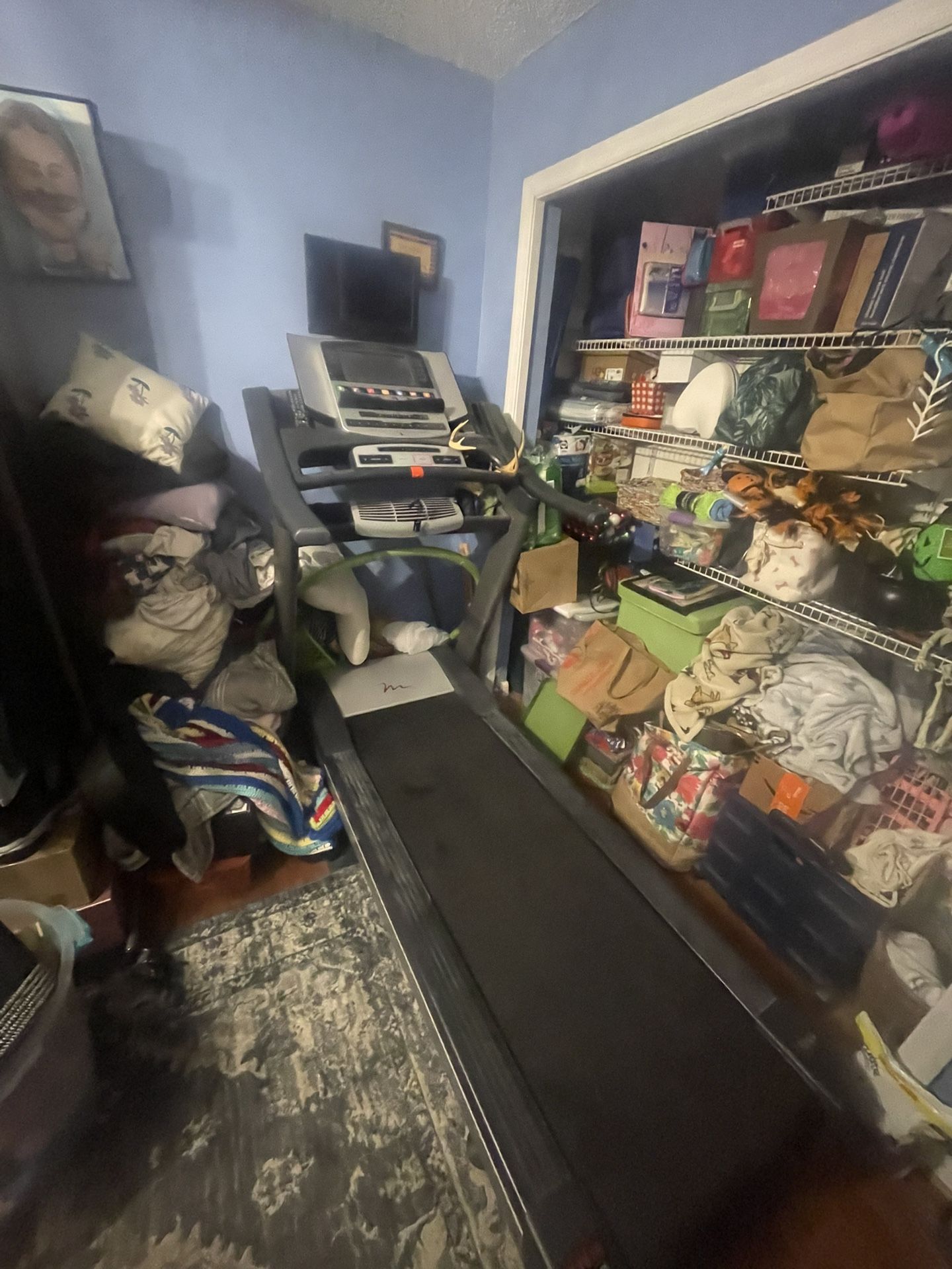 Free Motion 780 Treadmill 