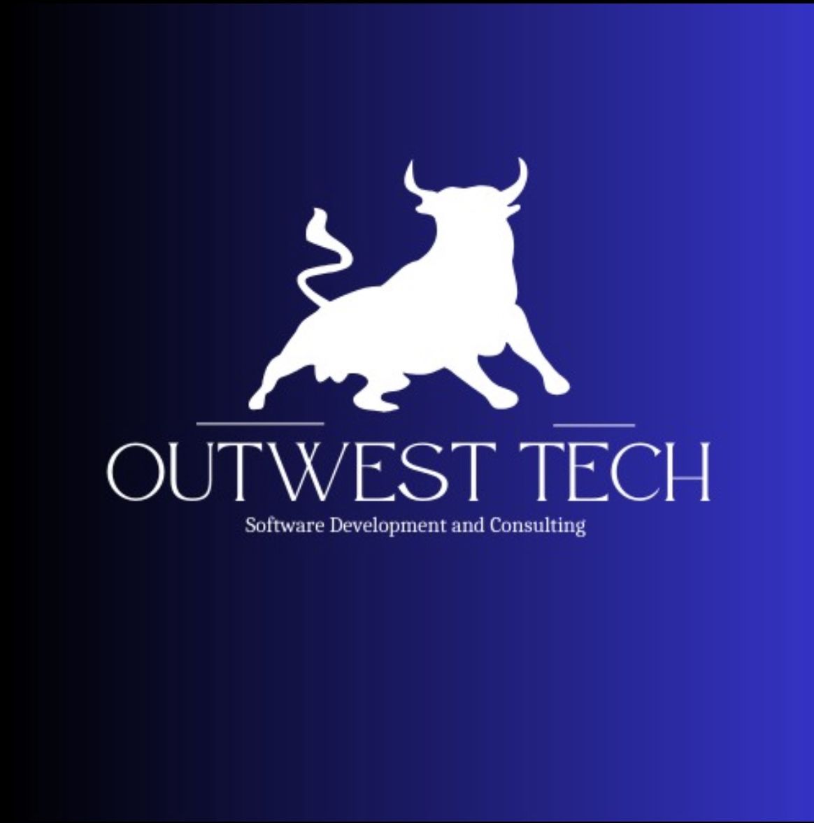 Custom Software Development & Business Solutions