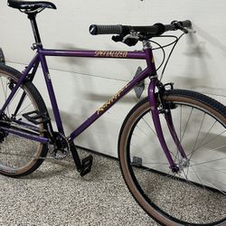 Specialized Rockhopper Mountain Bike