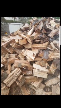 firewood camping fireplace