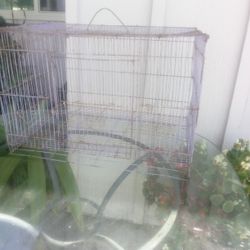Birdcage 