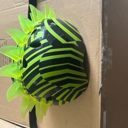 Helmet 