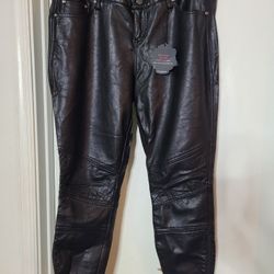 NWT REBEL Wilson For Torrid Pants 