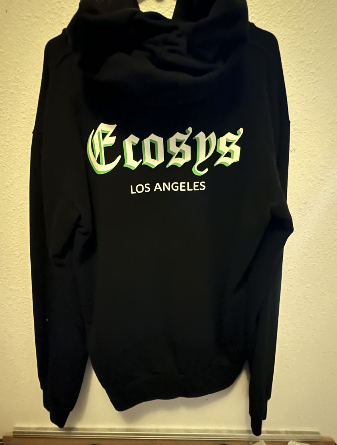Ecosys Skull Hoodie