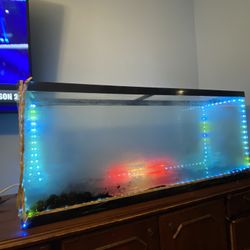 Tank 12in W /48in L /21 In Tall