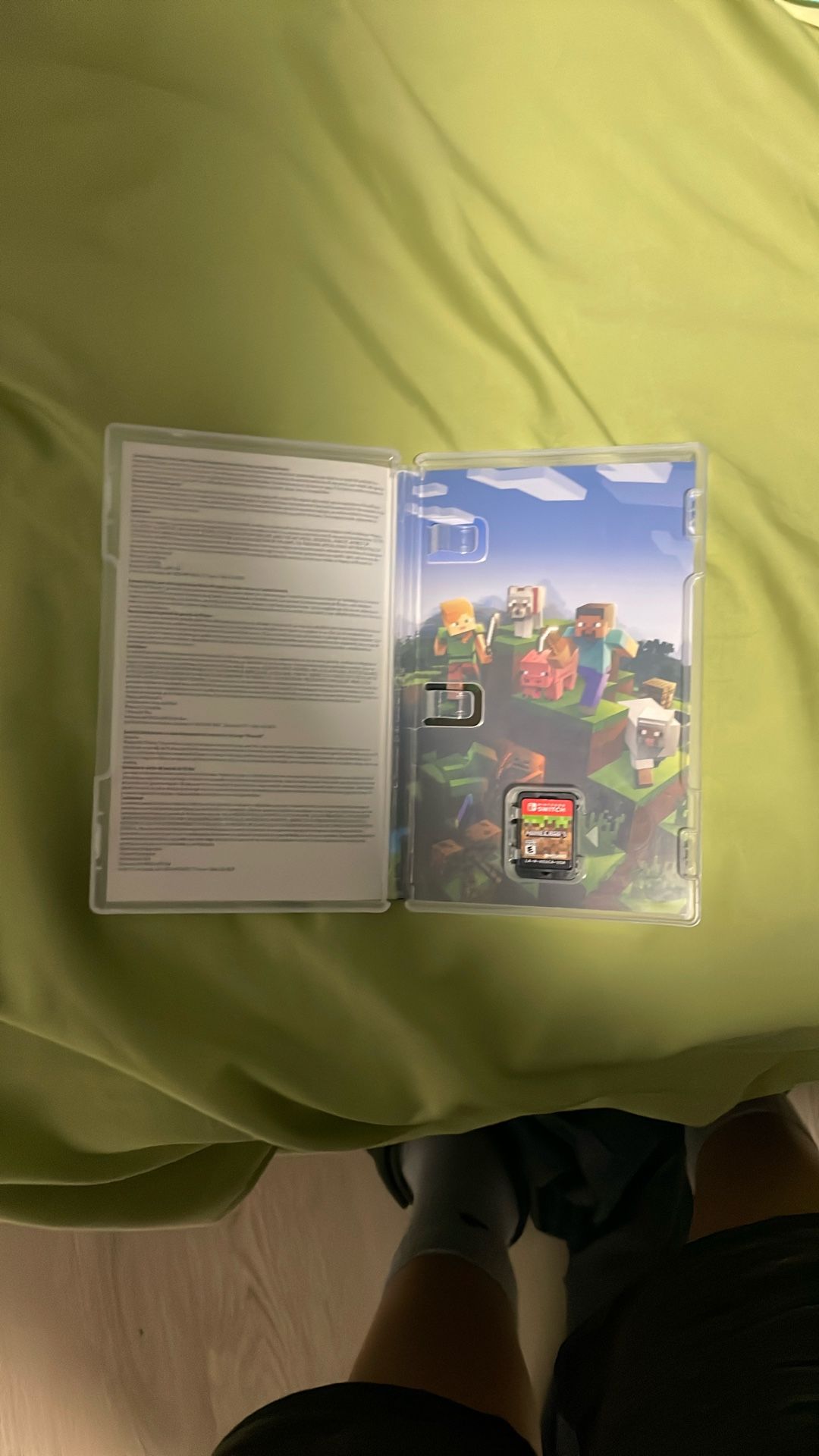 Minecraft Game