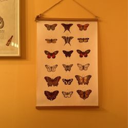 butterfly poster decor 